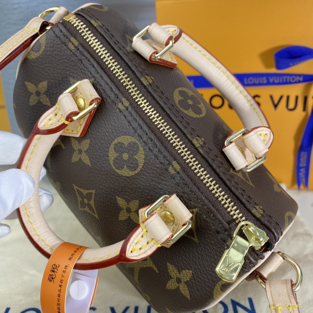 Louis Vuitton NANO SPEEDY Monogram Handbag M61252 